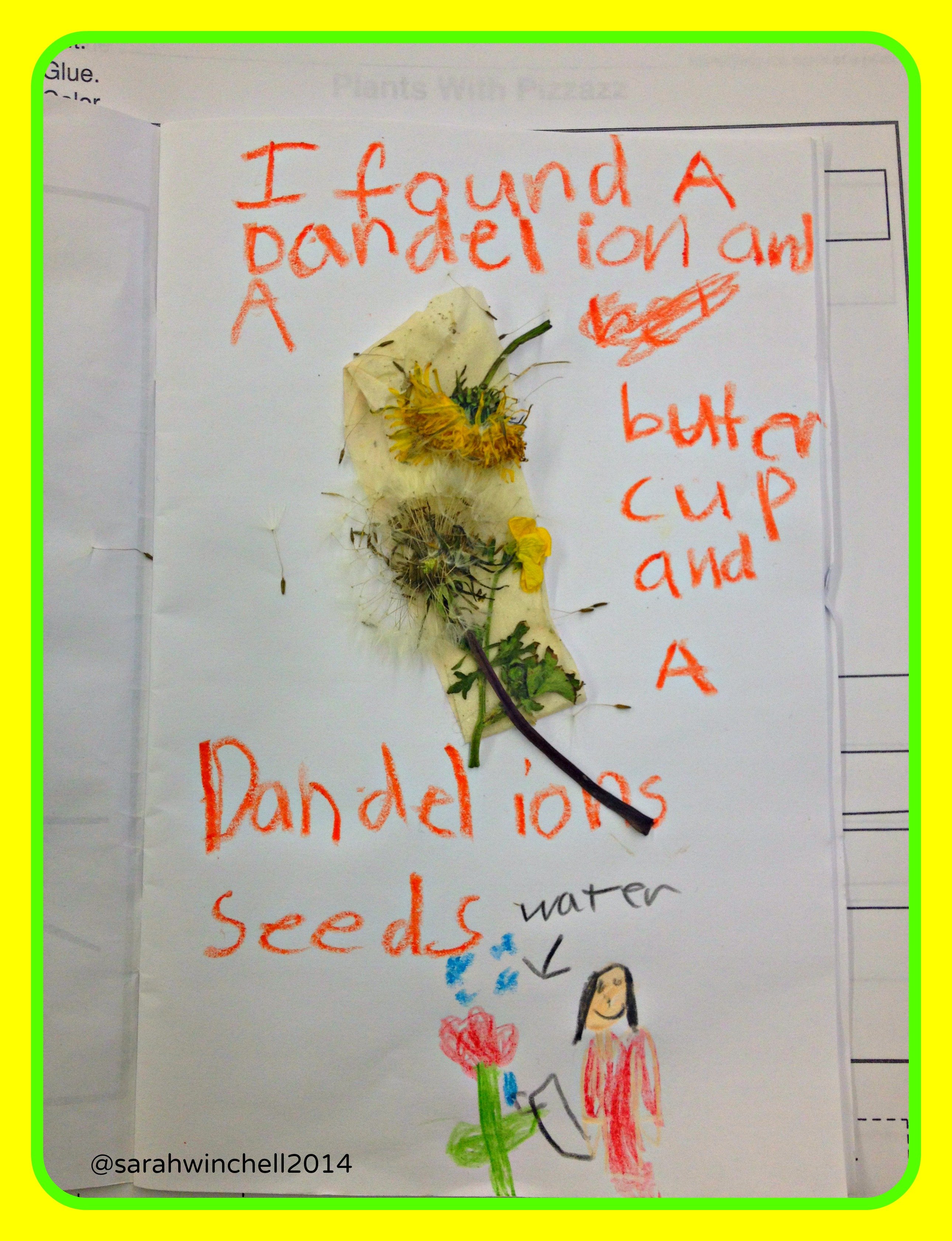 science plant unit
