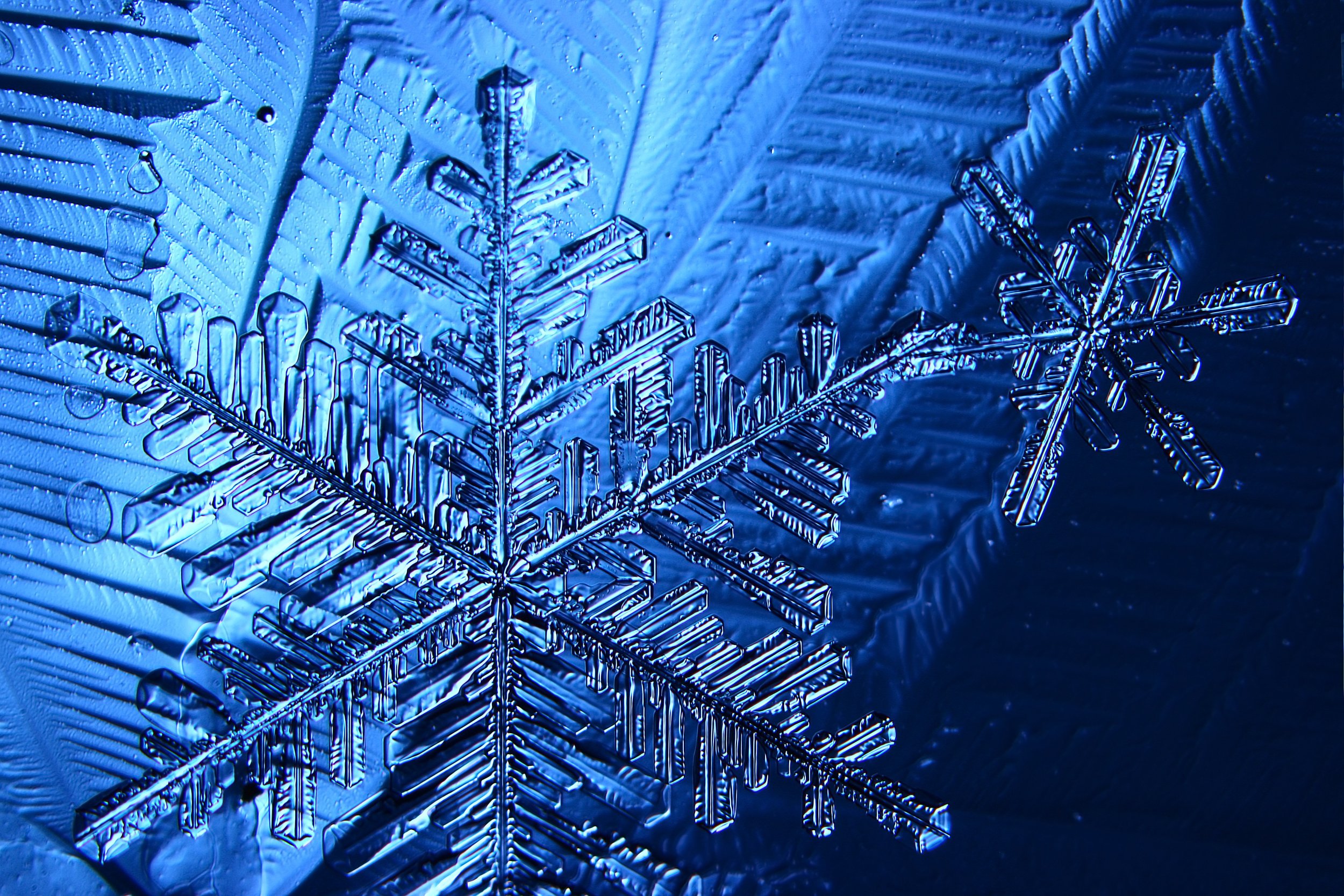 snow properties of matter