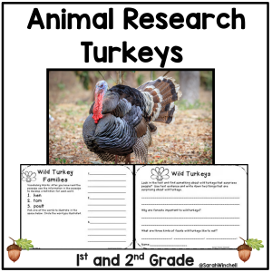 Animal Research Graphic Organizer Reading Non Fiction Turkeys 1st 2nd Grade