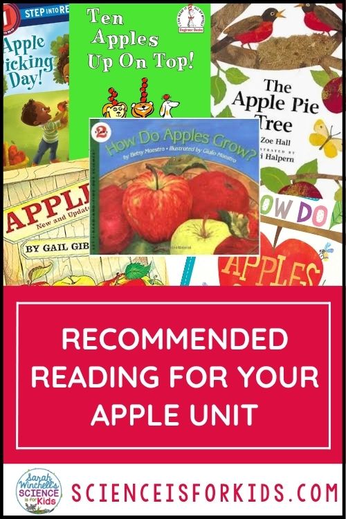 12+ Irresistible Apple Activities Your Primary Students will Love Apple themed literature for your apple unit