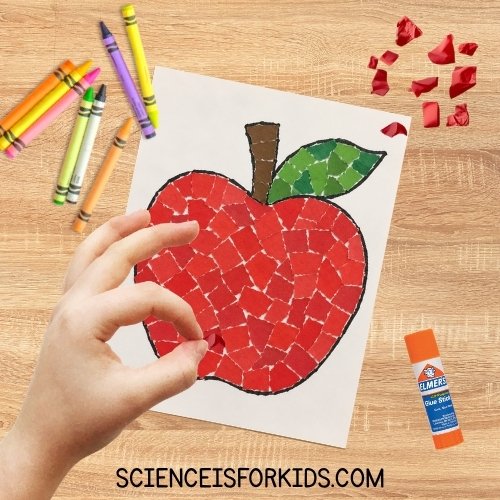 12+ Irresistible Apple Activities Your Primary Students will Love apple collage project